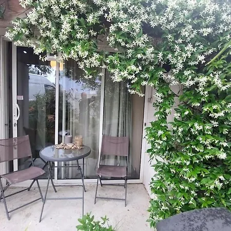 Studio Pieds Dans L 'eau Rez De Jardin